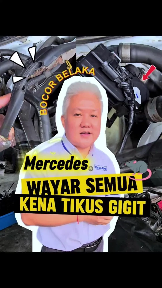 Mercedes CLS W219: wiring digigit tikus, sensor kabin dan kawalan heater