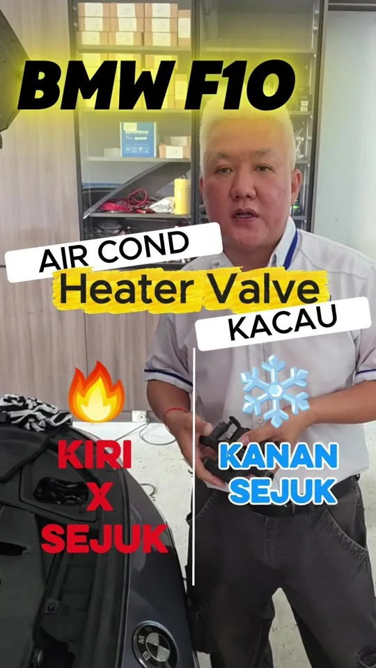 BMW F10 unequal vent temperatures: heater valve or air-door actuator?